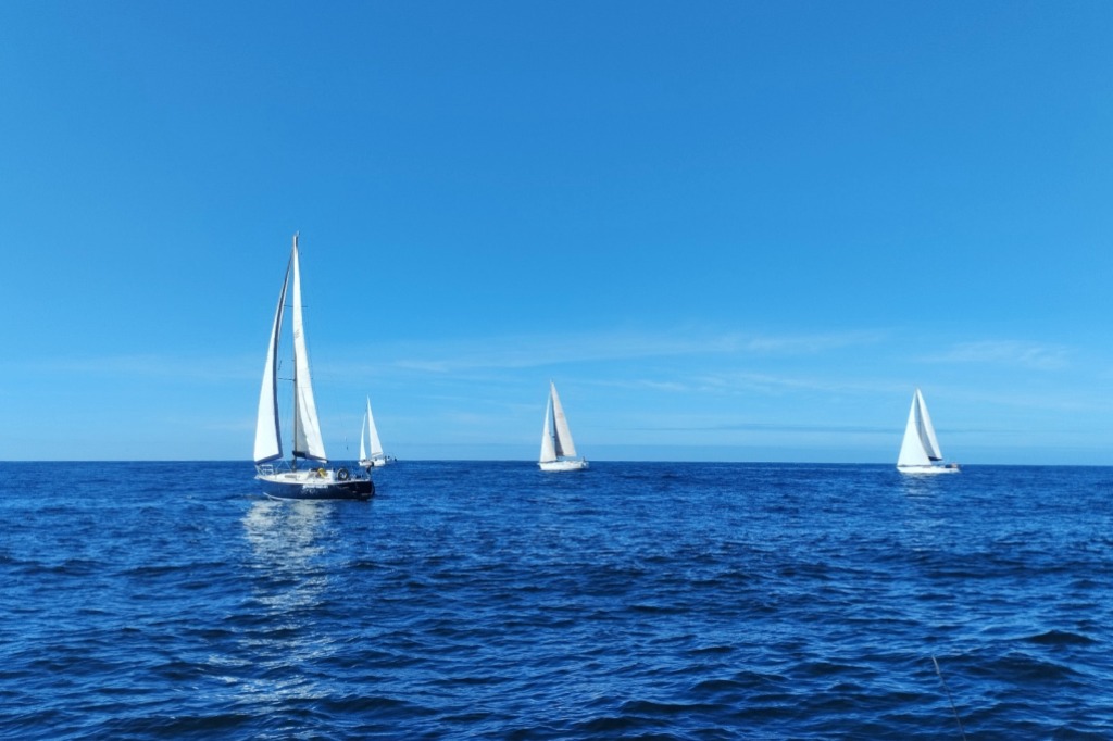 A Tradicional Regata de São Martinho foi um Sucesso