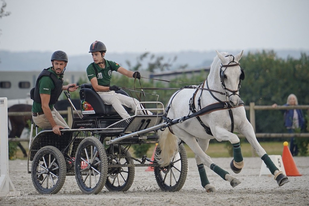 Bernardo Losa da Intersped Team arrecada 6 Medalhas esta época