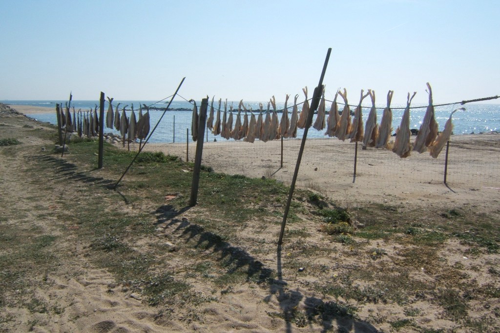 Estendal de Peixe ao Sol de um Tempo Antigo