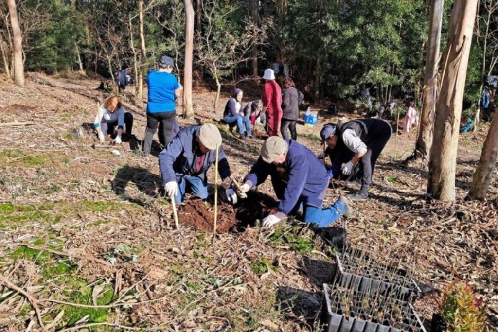 “Dar Vida à Cividade” Juntou Amantes da Natureza